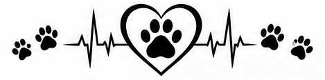 Pet Memorial Flourish 6