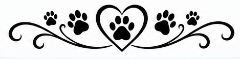 Pet Memorial Flourish 14